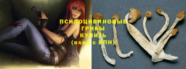 дурь Алексин
