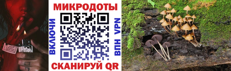 сайты даркнета формула  Коряжма  Галлюциногенные грибы прущие грибы 
